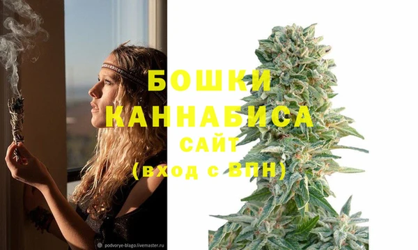 трава Балахна