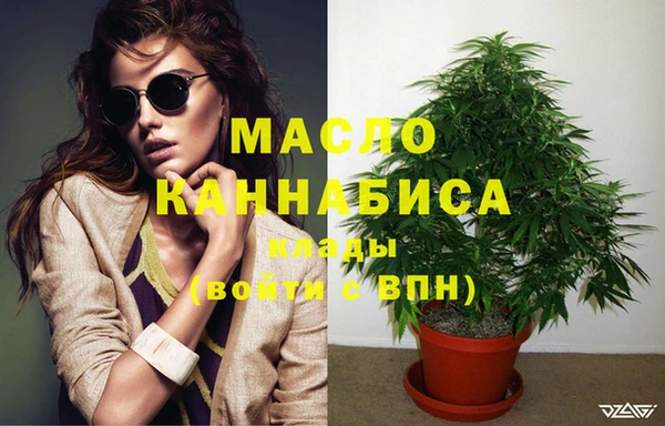 твердый Арсеньев