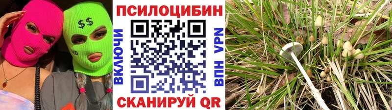 Галлюциногенные грибы Magic Shrooms  хочу   Мариинский Посад 